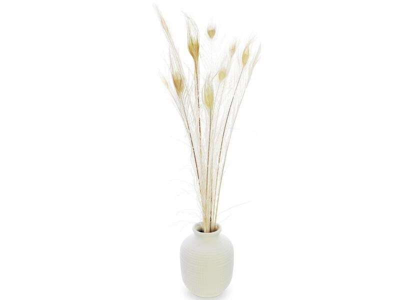 Soli Collection Pfaufedern 90 cm, Weiss
