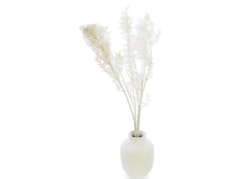 Soli Collection Trockenblumen Ruscus 70-75 cm, Weiss