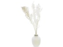 Soli Collection Trockenblumen Ruscus 70-75 cm, Weiss