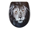 diaqua® Toilettensitz Nice Lion Absenkautomatik, Schwarz
