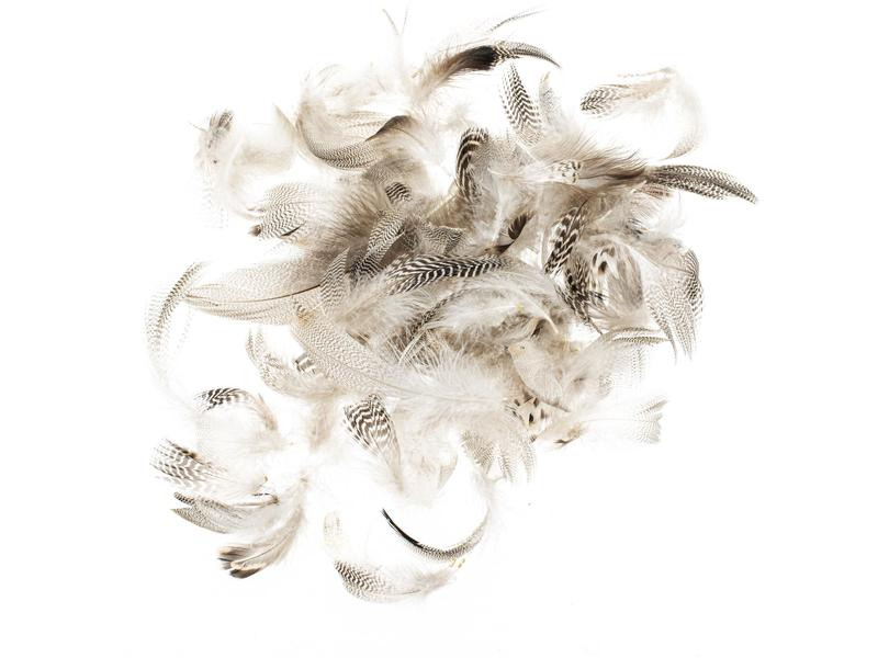 Glorex Federn Hahn 5-12 cm, 10g, Braun