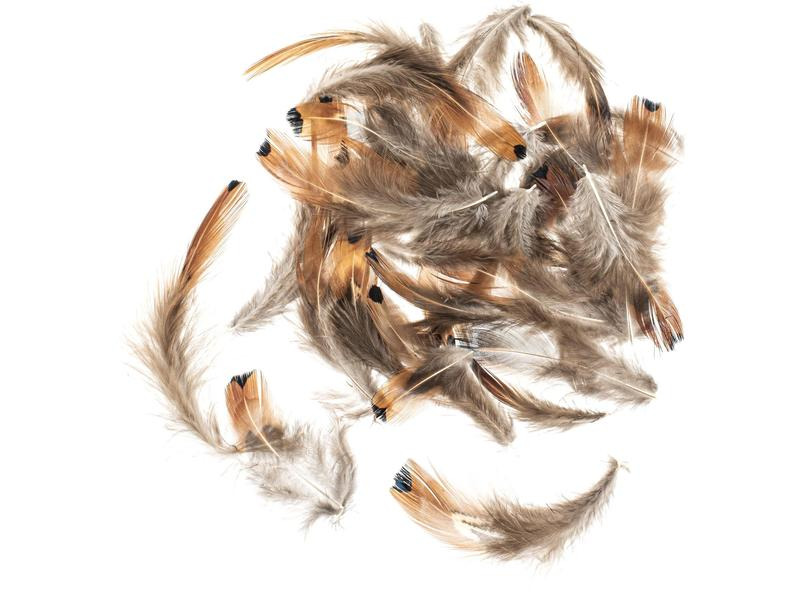 Glorex Federn Fasan 5-12 cm, 10g, Braun