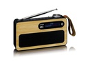 Lenco DAB+ Radio PDR-040 Bambus/Schwarz