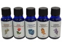 Goodsphere Duftöl-Set Feeling Beginners, 5 x 30 ml