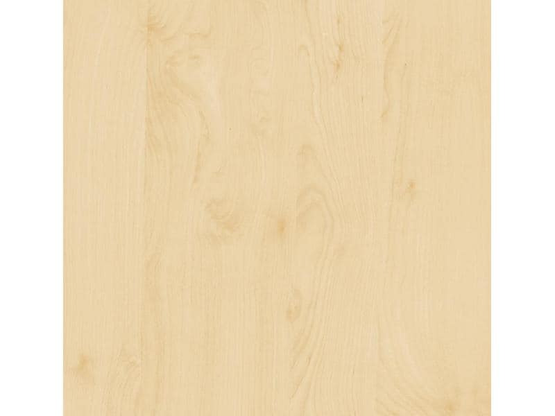 d-c-fix Designfolie Birke