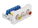 Delock Easy 45 Modul 22.5 x 45 mm Spezial - Cinch