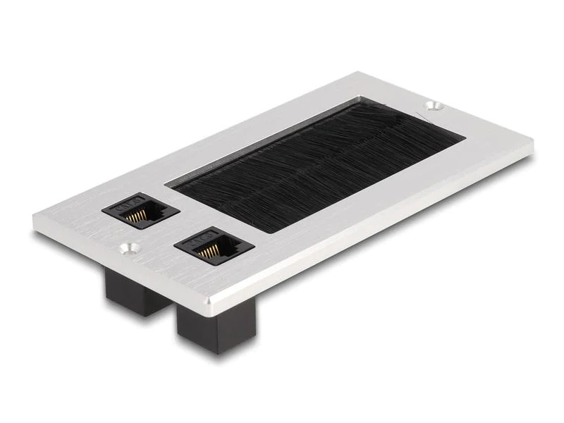 Delock Einbaurahmen mit Bürste und 2 x RJ45 Keystone Modul Cat.6
