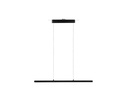 Paulmann LED Pendelleuchte URail Lento, 42 W, 2700 K, Schwarz