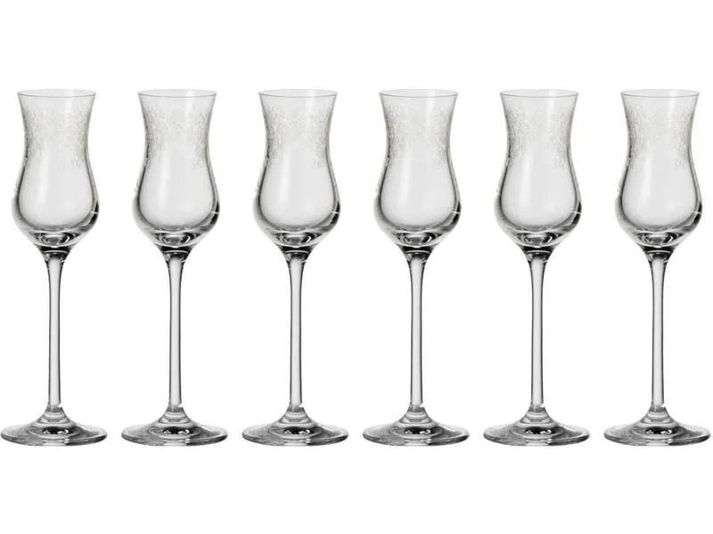 Leonardo Grappaglas Chateau 90 ml, 6 Stück, Transparent 