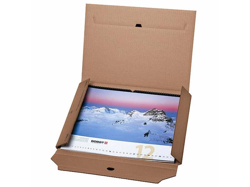Brieger Versandkarton mit Einstecktasche 43 x 31 x 1.1 cm
