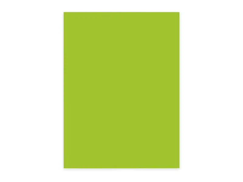 ELCO Kopierpapier Color A4, Grün, 80 g/m², 100 Blatt