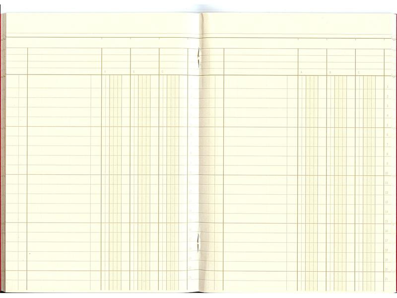 Simplex Durchschreibebuch A5 Statistikheft
