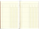Simplex Durchschreibebuch A5 Statistikheft