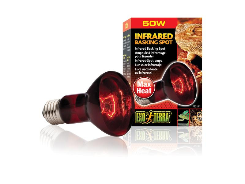 Exo Terra Terrarienlampe Infrared Basking Spot E27, R20/50W