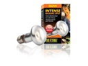 Exo Terra Terrarienlampe Intense Basking Spot E27, R20/50W