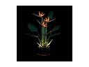 Light My Bricks LED-Licht-Set für LEGO® Paradiesvogelblume 10289
