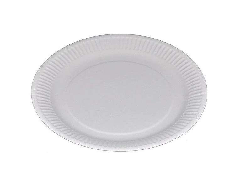 Webstar Einwegteller 23 cm, 100 Stück, Weiss