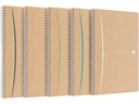 Oxford Notizheft A4, liniert, assortiert