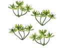 HobbyFun Mini-Utensilien Buchs I 3 cm, 6 Stück