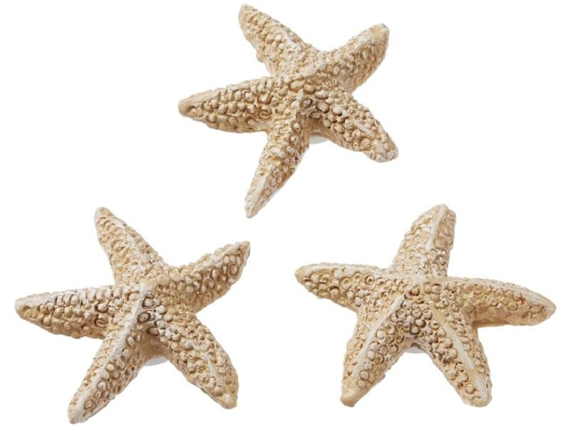 HobbyFun Mini-Utensilien Seestern Set Natur