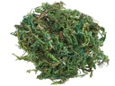HobbyFun Mini-Utensilien Moss 20g, Hellgrün