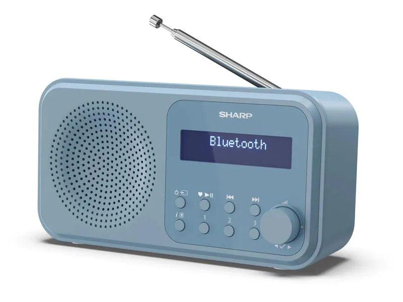 Sharp DAB+ Radio DR-P420 – Blau
