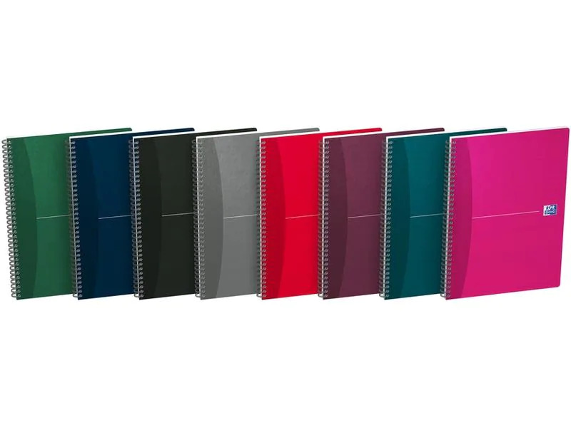 Oxford Notizbuch A4, kariert, Assortiert