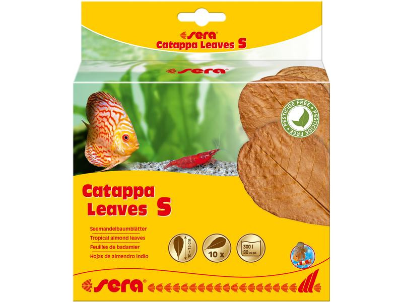 sera Wasseraufbereiter Catappa Leaves S, 10 Stück
