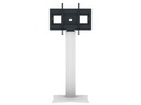 Celexon Standfuss Professional Plus Fixed-42100P Silber