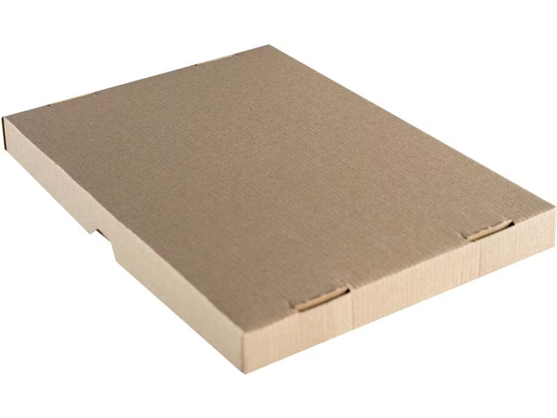 Brieger Versandkarton 320 x 240 x 55 mm, 1 Stück