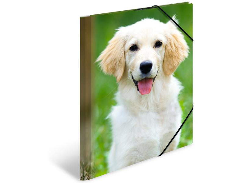 HERMA Gummibandmappe A4 Hunde, Polypropylen, mit Innendruck