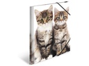 HERMA Gummibandmappe A4 Katzen, Polypropylen, mit Innendruck