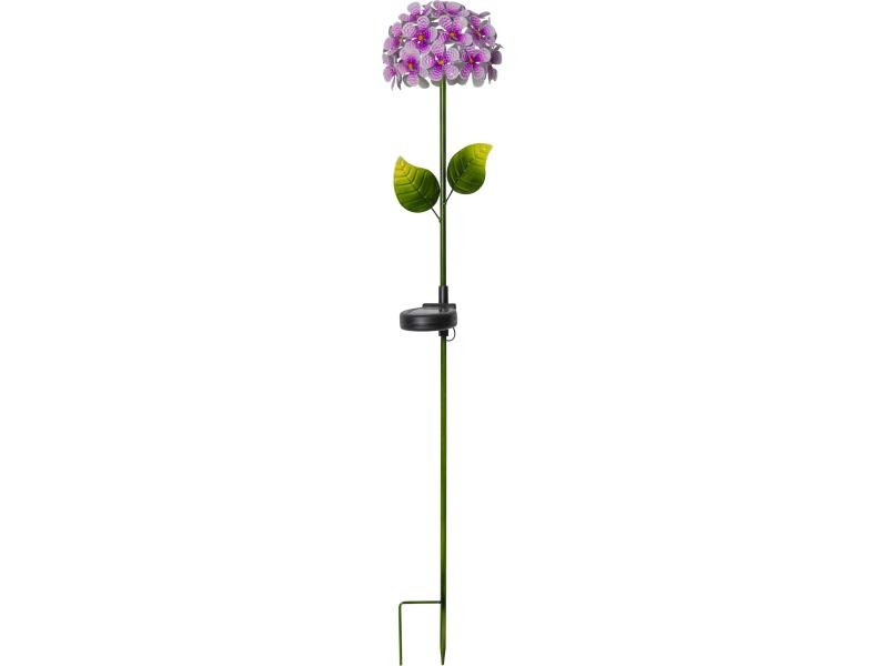 Star Trading Gartenlicht Solar Hortensia, Pink