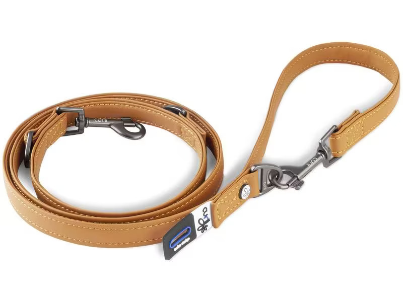 curli Hundeleine aus Apfelleder, M, 1.6 m, Braun