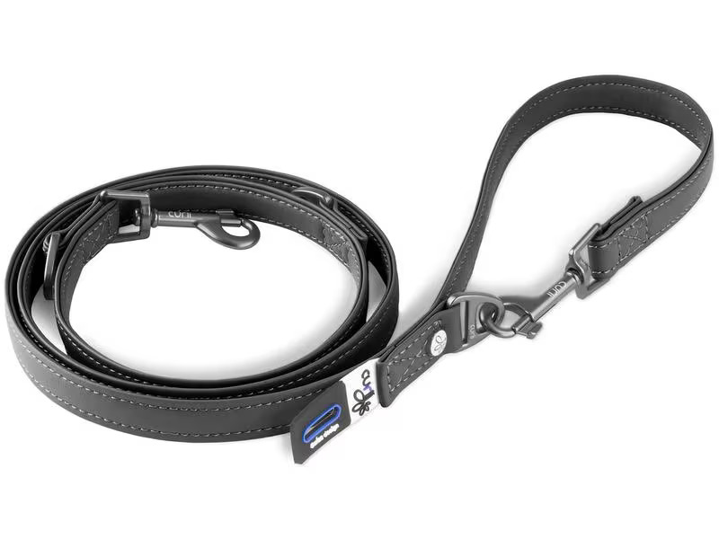 curli Hundeleine aus Apfelleder, M, 1.6 m, Schwarz
