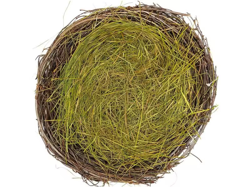 Rico Design Osternest 25 cm, 1 Stück