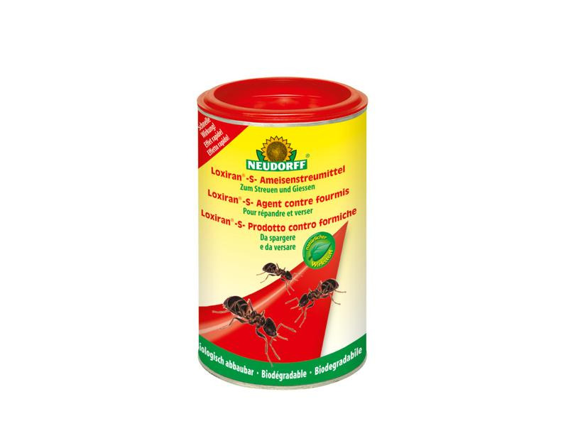 Neudorff Insektenfalle Loxiran-S-Ameisen Mittel, 100 g