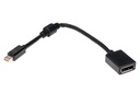 Delock Adapter Mini-DP - DP 4K, schwarz, 15cm