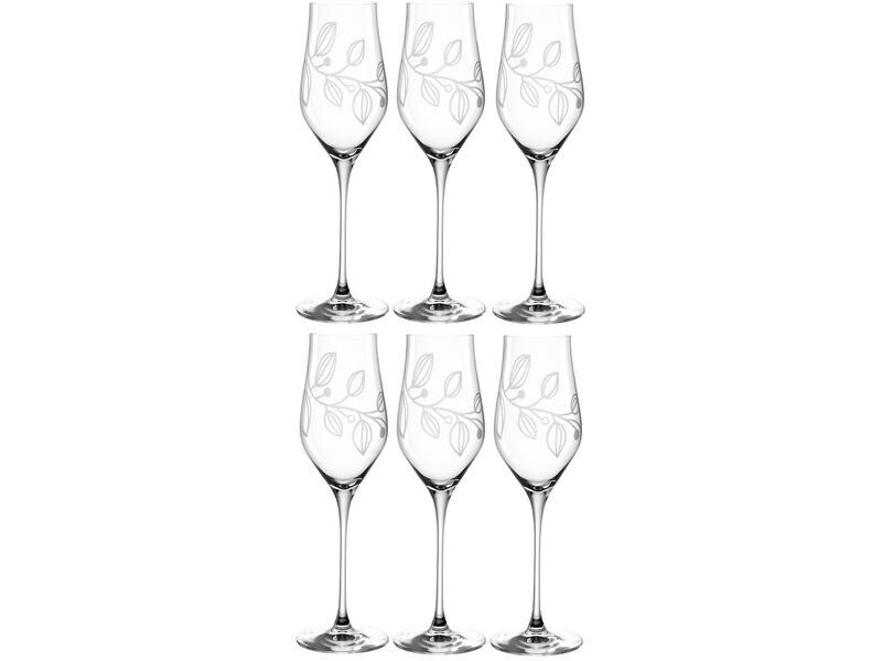 Leonardo Champagnerglas Boccio 340 ml, 1 Stück, Transparent