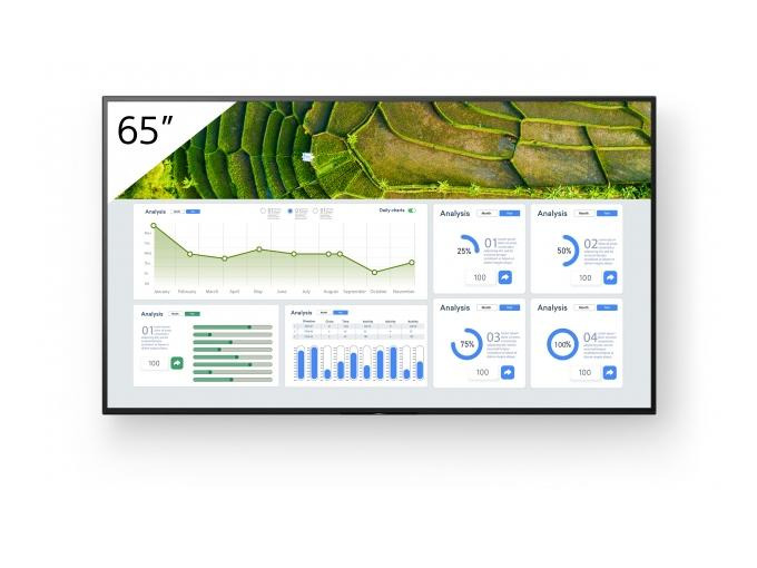 Sony Public Display FW-65BZ30L 65