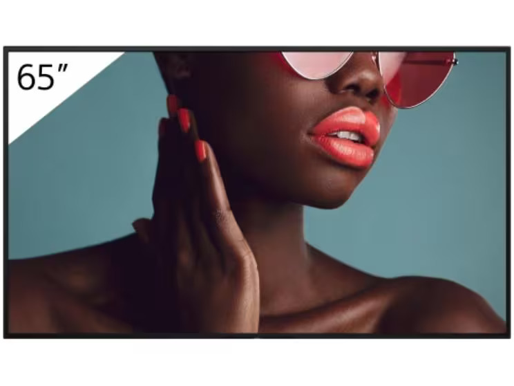 Sony Public Display FW-65BZ40L 65