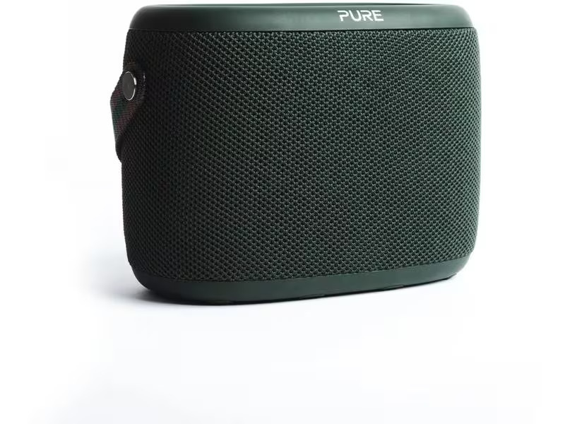 Pure Radio Woodland Grün