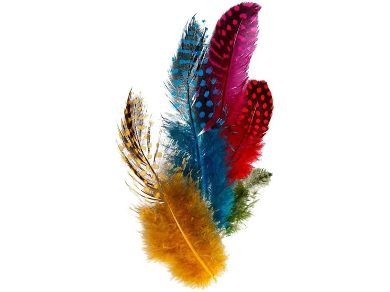 Creativ Company Federn Perlhuhn Mehrfarbig