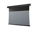 Celexon Motorleinwand HomeCinema Plus Tension 265.7x149.4 cm Schwarz