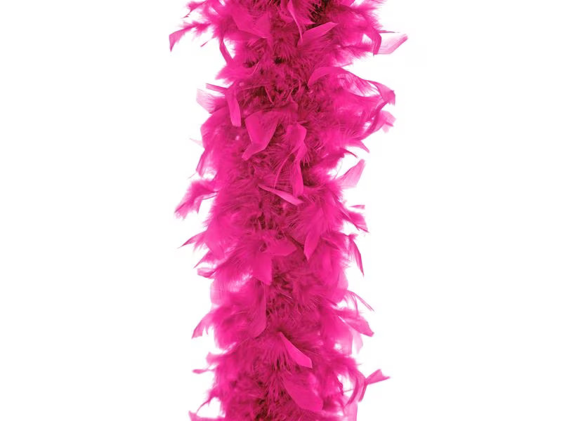 Partydeco Partyaccessoire Boa Rosa