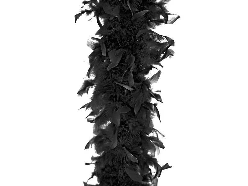 Partydeco Partyaccessoire Boa Schwarz