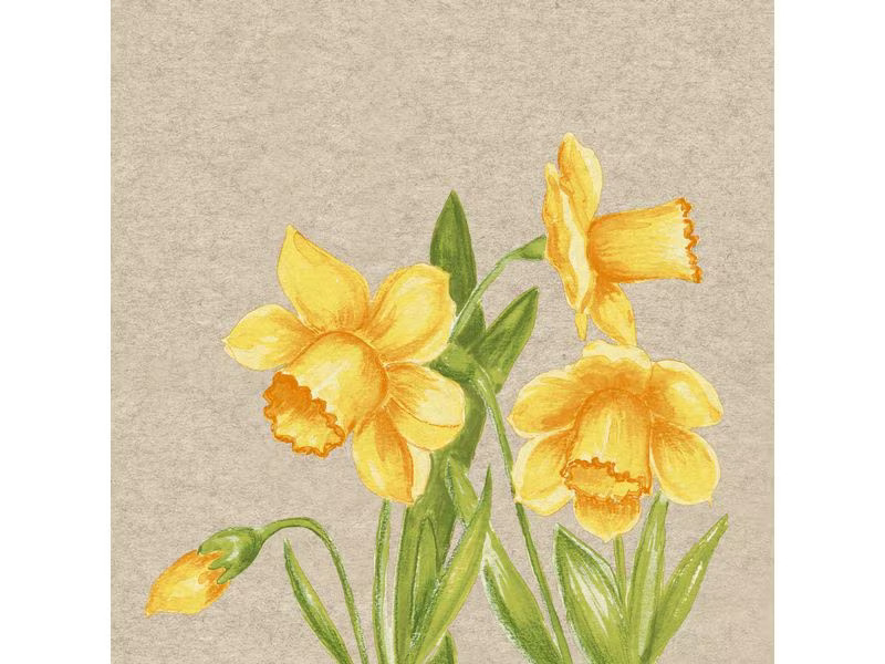 Paper + Design Papierservietten Daffodil 33 cm x 33 cm, 25 Stück