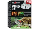 Repti Planet Terrarienlampe Halogen Spot 25 W