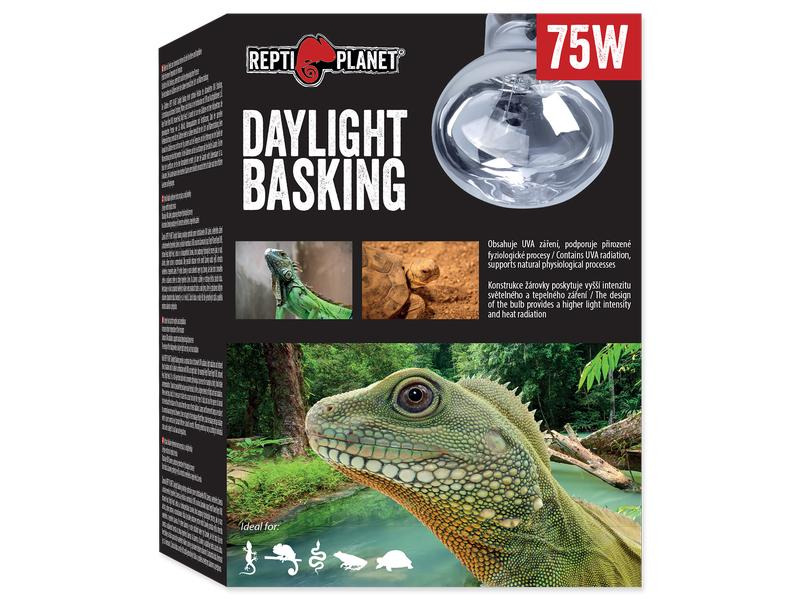 Repti Planet Daylight Basking Spot 75 W