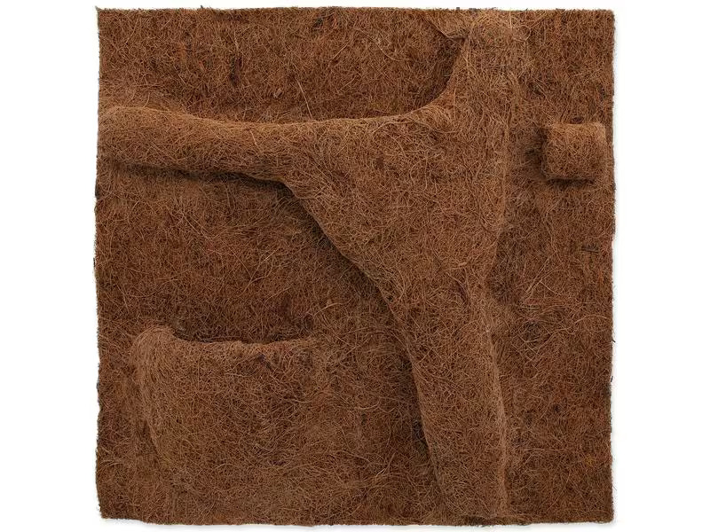 Repti Planet Coco Pflanzgefäss 50 x 50 cm